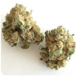 Шишки "White Widow" (Белая вдова) Гидропоника - Бошка VHQ в Мысках Шишки "White Widow" (Белая вдова) Гидропоника - Бошка VHQ в Мысках